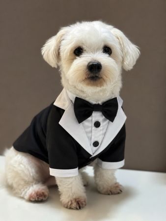 Formal Tuxedo